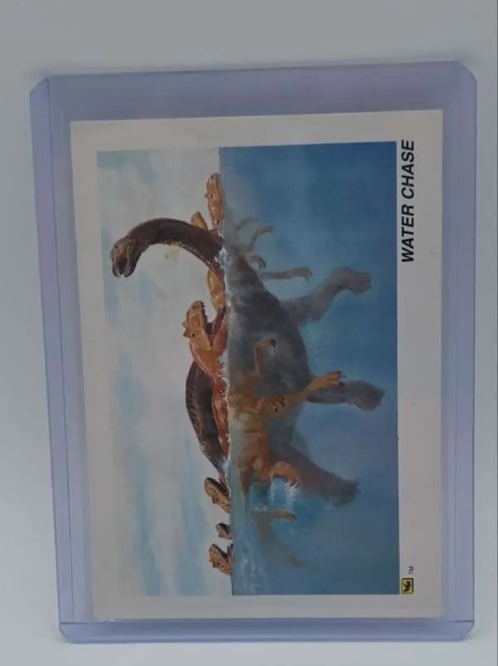 1992 DinoCardz #34 Water Chase Card
